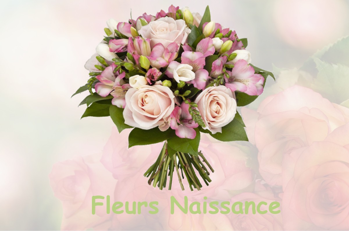 fleurs naissance MASSINGY-LES-VITTEAUX